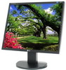 LG 19" L1953S-BF ( Black, 170H/170V, 300cd/m*2, 2000:1(DFC), 5ms, TCO'03 )