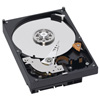 160GB Western Digital WD1600AAJS (S-ATA II-300, 7200 об/мин, 8Mb cache)