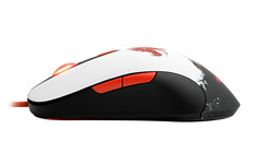 SteelSeries Sensei RAW Guild Wars 2 Edition