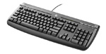 Logitech Internet 350 USB black